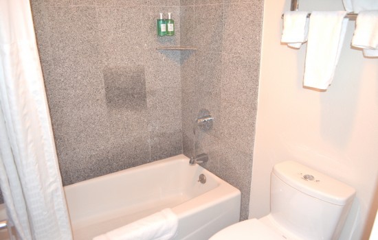 Private Bathroom